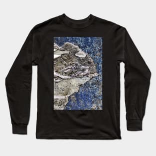 See what you will (texture photography) Long Sleeve T-Shirt